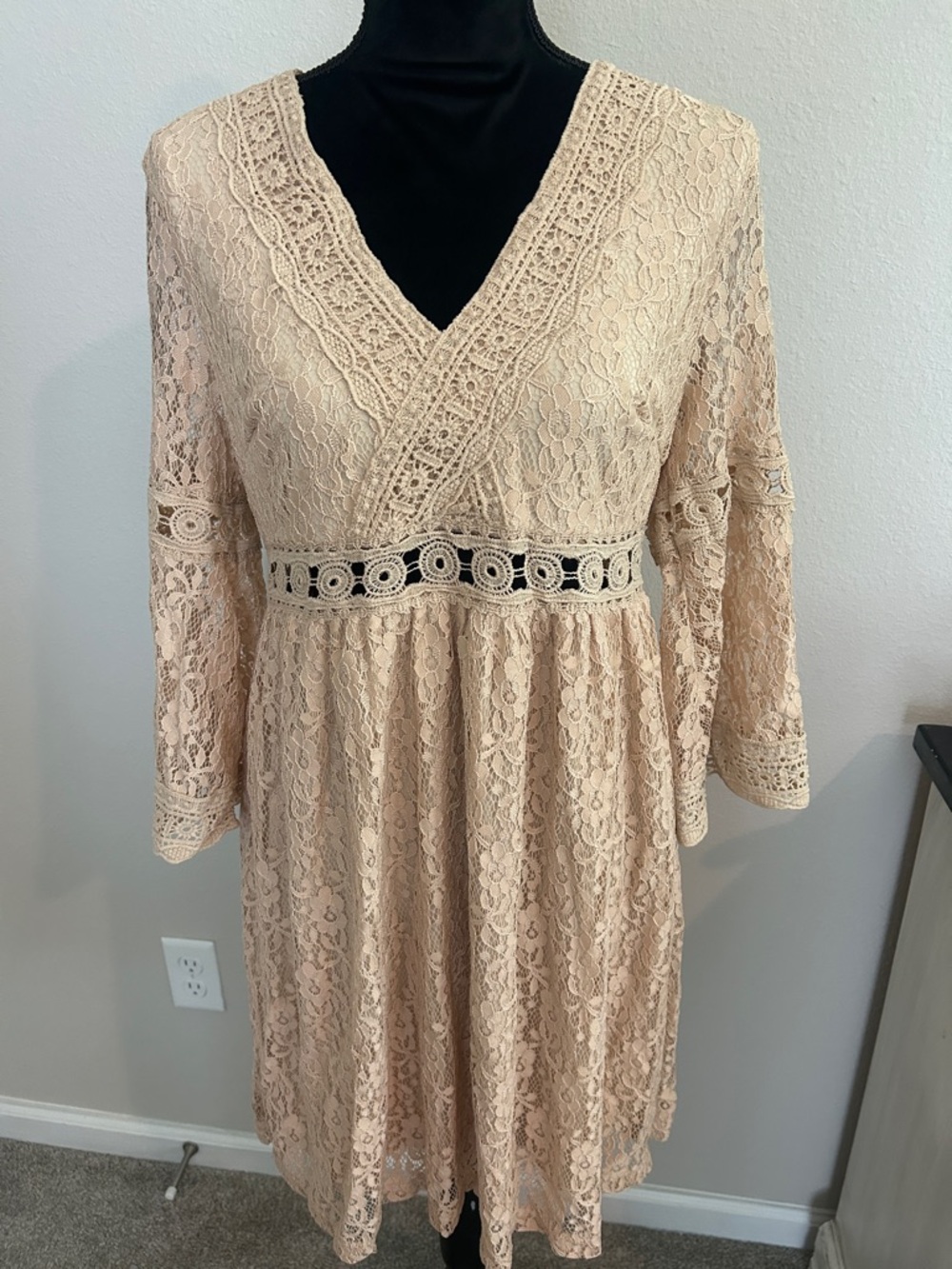 Lace V-Neck Babydoll Dress in Blush